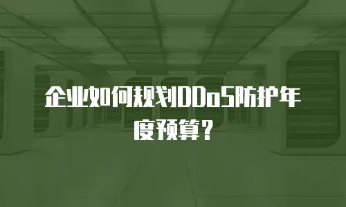 企业如何规划DDoS防护年度预算？