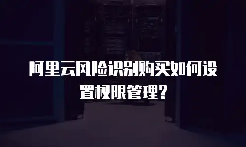阿里云风险识别购买如何设置权限管理？