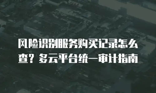 风险识别服务购买记录怎么查？多云平台统一审计指南
