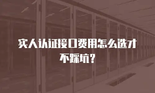 实人认证接口费用怎么选才不踩坑？