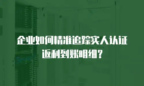 企业如何精准追踪实人认证返利到账明细？