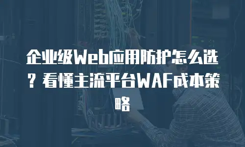 企业级Web应用防护怎么选？看懂主流平台WAF成本策略