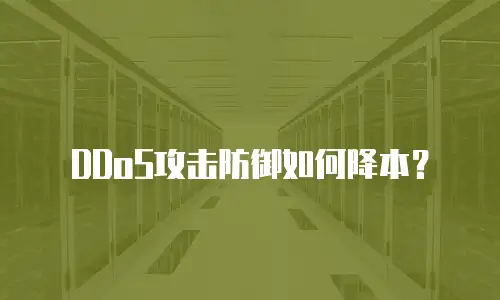 DDoS攻击防御如何降本？