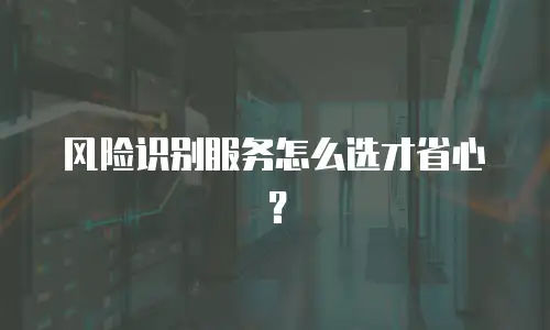 风险识别服务怎么选才省心？