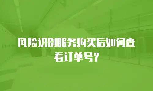 风险识别服务购买后如何查看订单号？