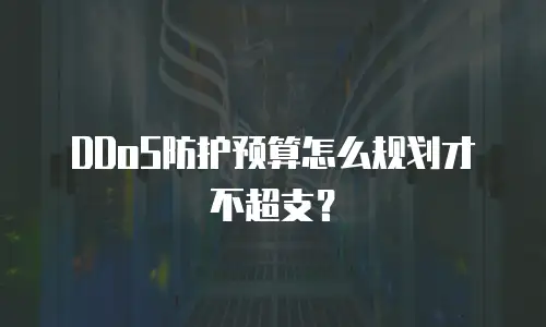 DDoS防护预算怎么规划才不超支？