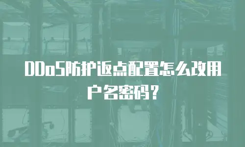 DDoS防护返点配置怎么改用户名密码？