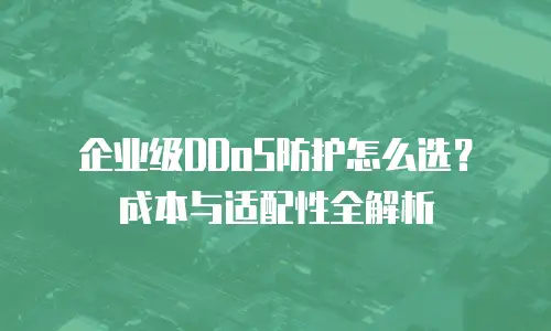 企业级DDoS防护怎么选？成本与适配性全解析