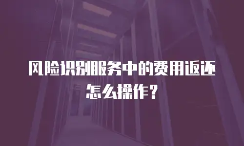 风险识别服务中的费用返还怎么操作？