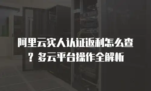 阿里云实人认证返利怎么查？多云平台操作全解析
