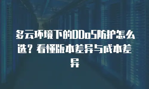 多云环境下的DDoS防护怎么选？看懂版本差异与成本差异
