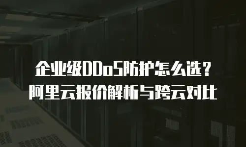 企业级DDoS防护怎么选？阿里云报价解析与跨云对比