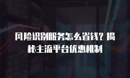 风险识别服务怎么省钱？揭秘主流平台优惠机制
