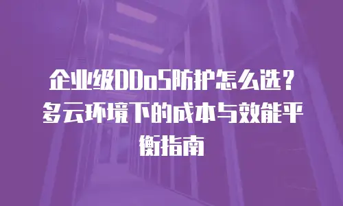 企业级DDoS防护怎么选？多云环境下的成本与效能平衡指南