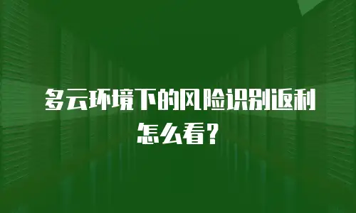 多云环境下的风险识别返利怎么看？