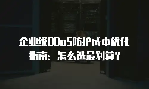 企业级DDoS防护成本优化指南：怎么选最划算？