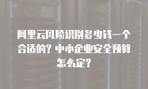 阿里云风险识别多少钱一个合适的？中小企业安全预算怎么定？