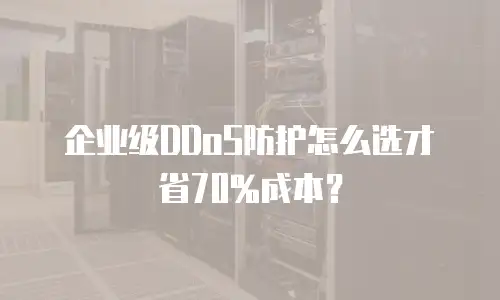 企业级DDoS防护怎么选才省70%成本？