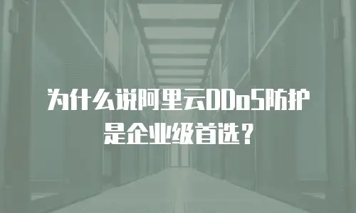 为什么说阿里云DDoS防护是企业级首选？