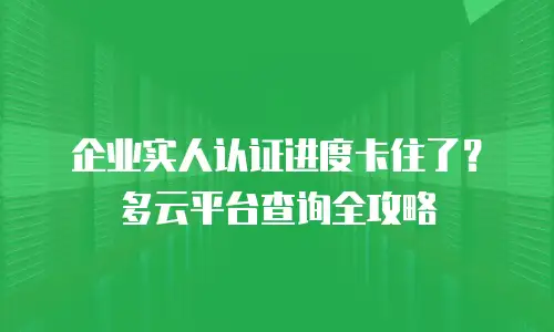 企业实人认证进度卡住了？多云平台查询全攻略