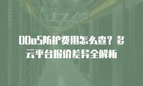 DDoS防护费用怎么查？多云平台报价差异全解析