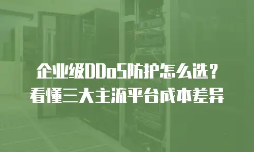 企业级DDoS防护怎么选？看懂三大主流平台成本差异