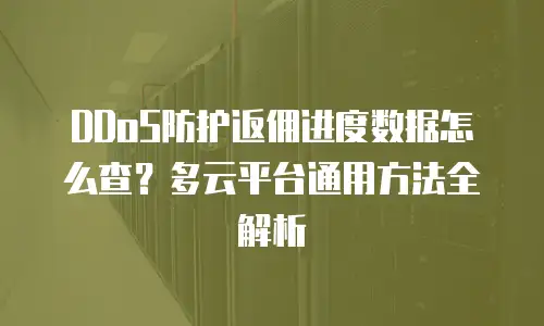 DDoS防护返佣进度数据怎么查？多云平台通用方法全解析