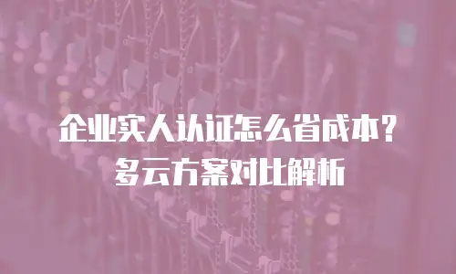 企业实人认证怎么省成本？多云方案对比解析