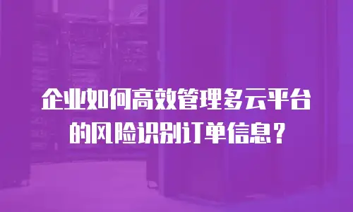 企业如何高效管理多云平台的风险识别订单信息？