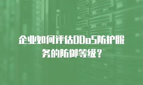 企业如何评估DDoS防护服务的防御等级？