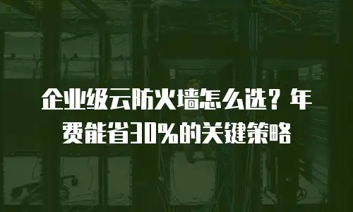 企业级云防火墙怎么选？年费能省30%的关键策略