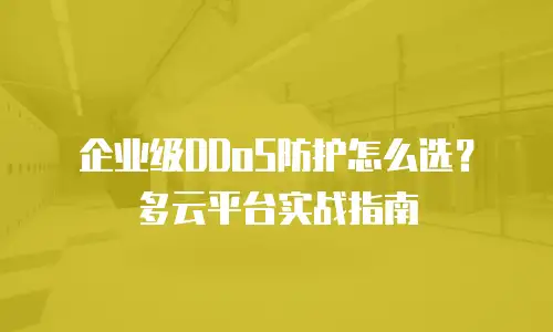 企业级DDoS防护怎么选？多云平台实战指南