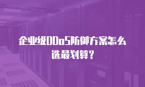 企业级DDoS防御方案怎么选最划算？