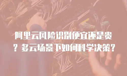 阿里云风险识别便宜还是贵？多云场景下如何科学决策？
