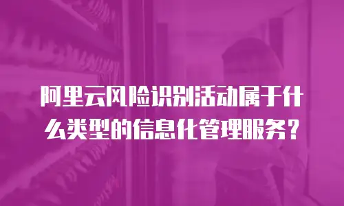阿里云风险识别活动属于什么类型的信息化管理服务？