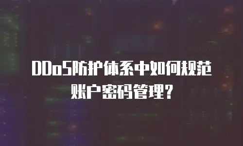 DDoS防护体系中如何规范账户密码管理？