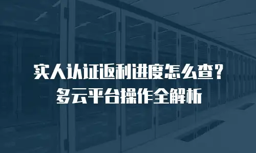 实人认证返利进度怎么查？多云平台操作全解析
