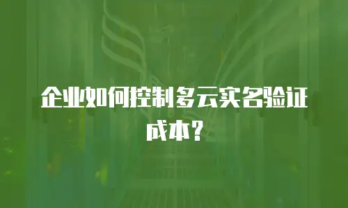 企业如何控制多云实名验证成本？