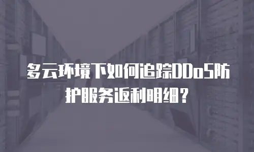 多云环境下如何追踪DDoS防护服务返利明细？