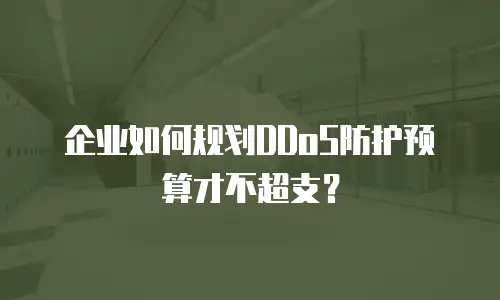 企业如何规划DDoS防护预算才不超支？
