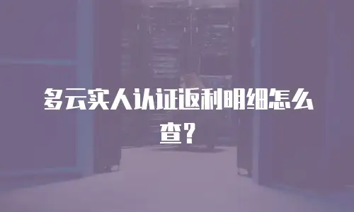 多云实人认证返利明细怎么查？