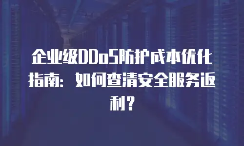 企业级DDoS防护成本优化指南：如何查清安全服务返利？