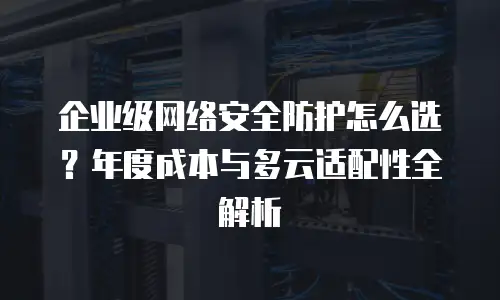 企业级网络安全防护怎么选？年度成本与多云适配性全解析