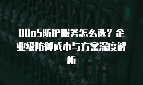DDoS防护服务怎么选？企业级防御成本与方案深度解析