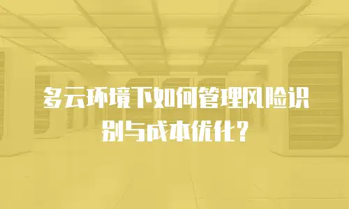多云环境下如何管理风险识别与成本优化？