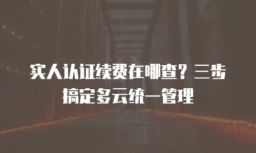 实人认证续费在哪查？三步搞定多云统一管理