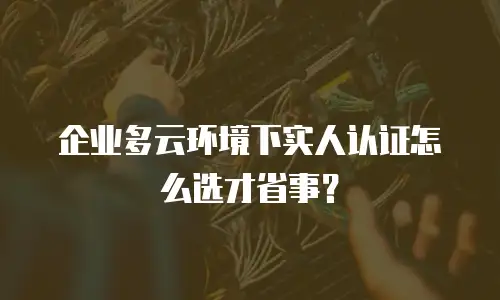 企业多云环境下实人认证怎么选才省事？