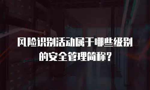 风险识别活动属于哪些级别的安全管理简称？