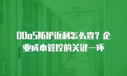 DDoS防护返利怎么查？企业成本管控的关键一环