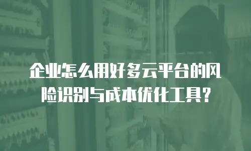 企业怎么用好多云平台的风险识别与成本优化工具？